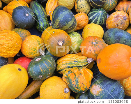 Decoration made from small pumpkins. Colored pumpkins in different varieties 131083658