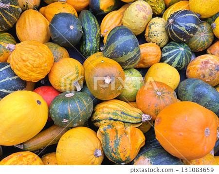 Decoration made from small pumpkins. Colored pumpkins in different varieties Decoration made from small pumpkins. Colored pumpkins in different varieties 131083659