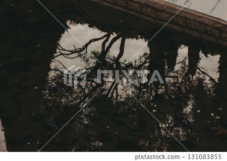 Reflection of trees in calm water. A serene scene captures the reflection of branchy trees in still water, creating a mirror-like effect with dark tones and moody atmosphere. Urban park lake, pond. Reflection of trees in calm water. A serene scene captures the reflection of branchy trees in still water, creating a mirror-like effect with dark tones and moody atmosphere. Urban park lake, pond. 131083855