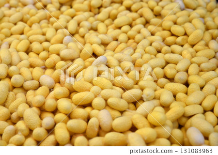 Close up view of pile of yellow silkworm cocoons, natural raw material fibers. a source of silk thread and silk fabric 131083963
