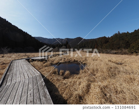 Odanuki Marsh in February (Fujinomiya City, Shizuoka Prefecture) 131084691