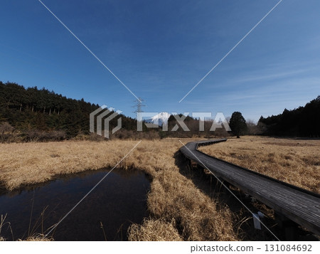Odanuki Marsh in February (Fujinomiya City, Shizuoka Prefecture) 131084692