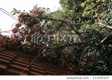 TV antenna falling onto the roof TV antenna falling onto the roof 131085037