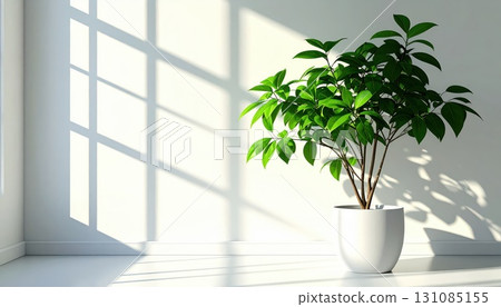 [AI image] A white room with potted plants and soft sunlight streaming in 131085155