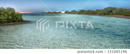 Mangrove forest in Ras Mohammed National Park, Sinai, Egypt 131085196