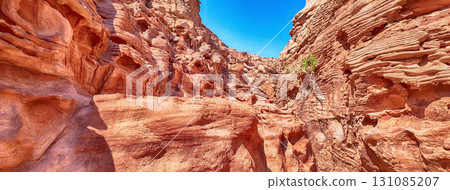 Scenic canyon landscape in the desert of South Sinai, Egypt Scenic canyon landscape in the desert of South Sinai, Egypt 131085207