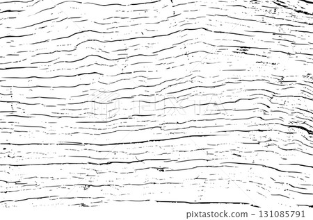 Tree bark texture 131085791