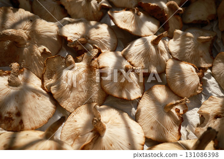 Lots of shiitake mushrooms drying in the sun 131086398