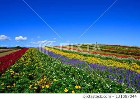 宮城縣花山和克雷花園風景日 131087044