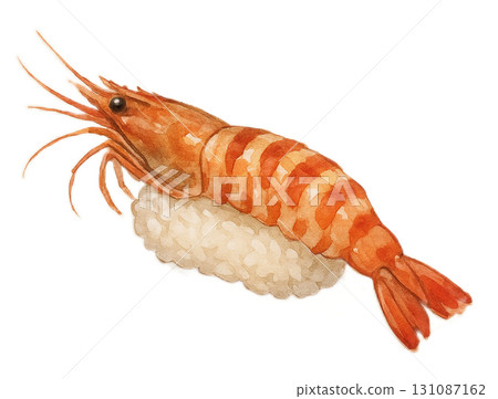 蝦握壽司插圖（1個） 131087162