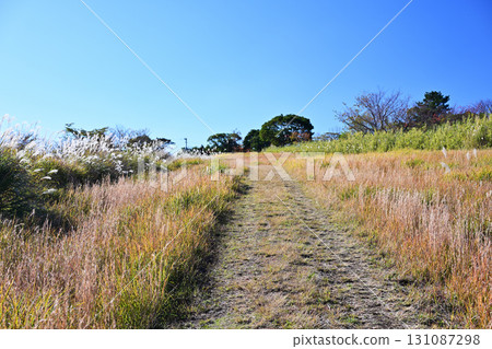 Natural scenery at Yanagigahira Walking Path Observation Deck Natural scenery at Yanagigahira Walking Path Observation Deck 131087298