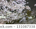 夜晚城堡周圍盛開的櫻花 131087338