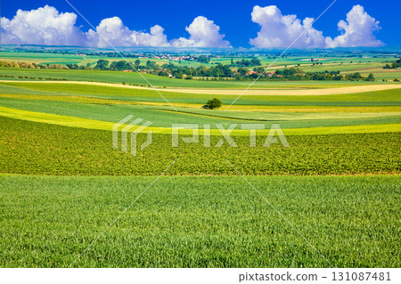 Beautiful Bohemian countryside and cloud composition 131087481