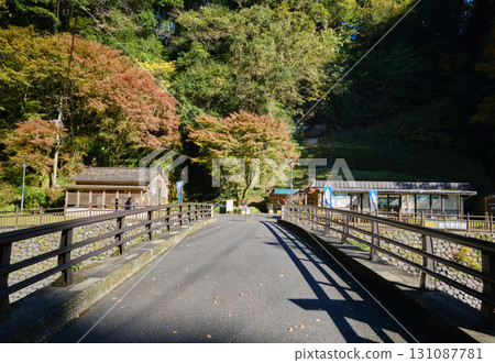 Ryoma Park in Autumn 131087781