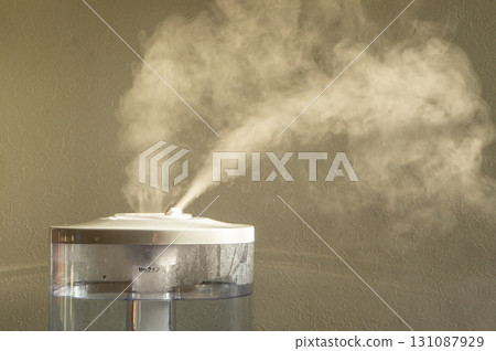 Humidify with a humidifier to prevent dryness Humidify with a humidifier to prevent dryness 131087929