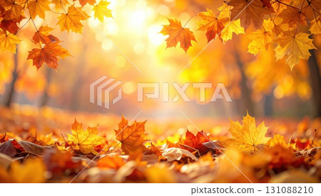 AI 影像：秋日陽光照射下的秋葉 131088210