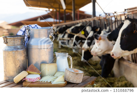 Image of dairy products on the farm 131088796
