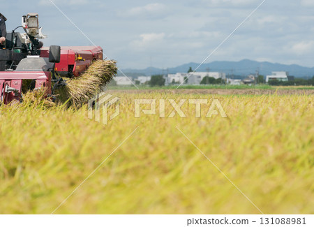 拖拉機用聯合收割機收割水稻 131088981
