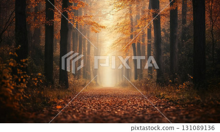 tranquil forest trail carpeted in brown and yellow leaves tranquil forest trail carpeted in brown and yellow leaves 131089136