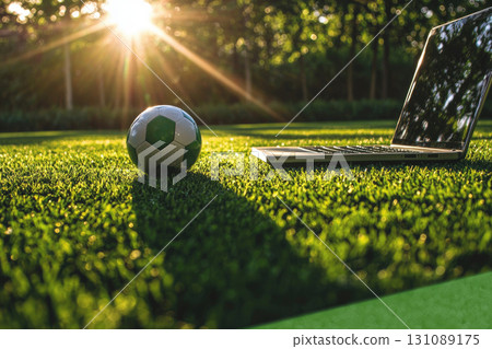Soccer ball near laptop on green grass, enjoying sports betting outdoors 131089175