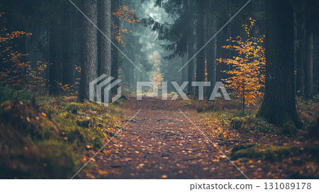tranquil forest trail carpeted in brown and yellow leaves 131089178