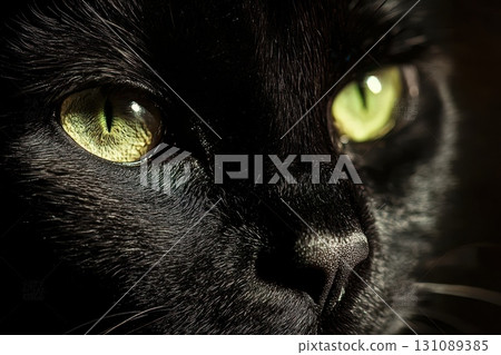 Close-Up Portrait of a Black Panther with Vibrant Eyes 131089385