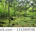 森林和健行小徑 131089596