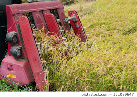 水稻收割場景 131089647