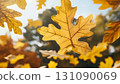 Golden Autumn Leaves Floating Against a Softly Blurred Backgroun 131090069
