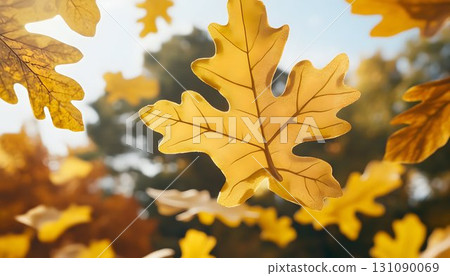 Golden Autumn Leaves Floating Against a Softly Blurred Backgroun Golden Autumn Leaves Floating Against a Softly Blurred Backgroun 131090069