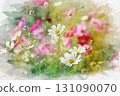 波斯菊畫在水彩 131090070