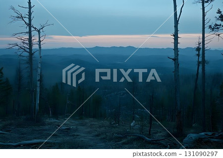 Silhouetted Trees Frame a Misty Mountain Landscape at Dusk 131090297