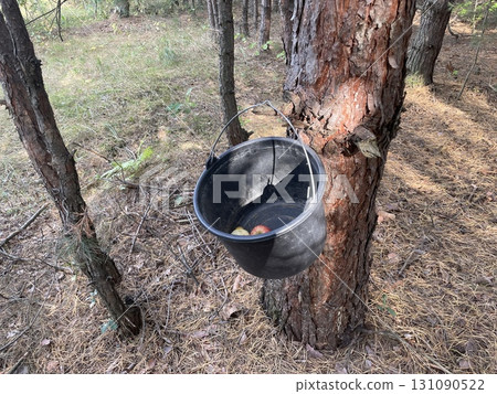 Wild apple picking in forest Wild apple picking in forest 131090522