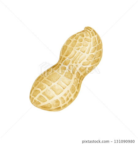 花生蔬菜水彩插圖 131090980