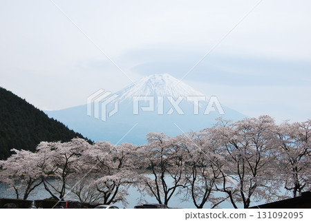 春霧中的狸湖、富士山和櫻花 131092095