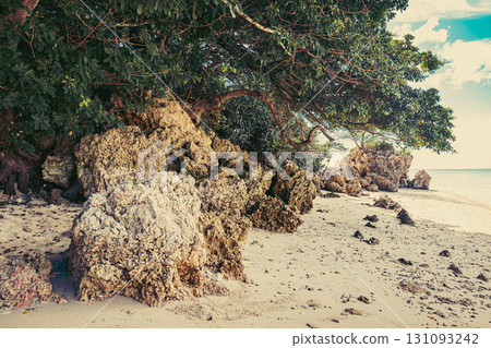 Okinawa's sandy beaches 131093242