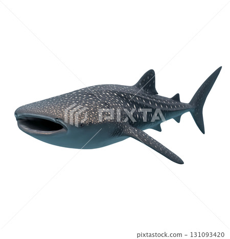 Whale shark 131093420
