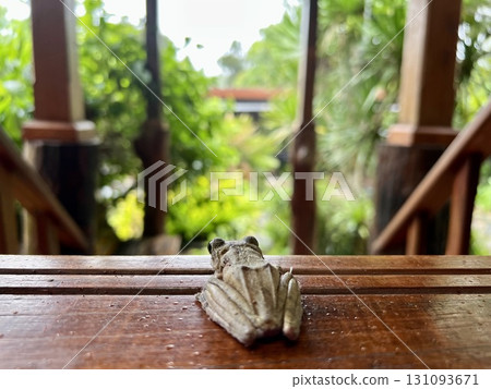 Wooden table with tree frog on nature background. Selective focus. 131093671