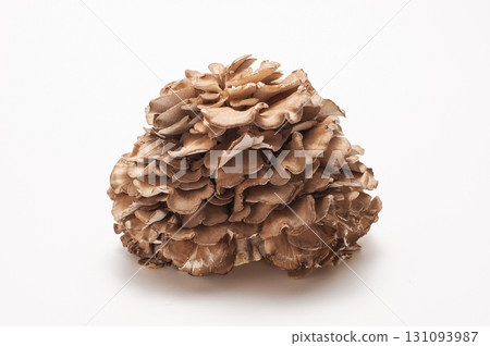 舞茸 舞茸 131093987