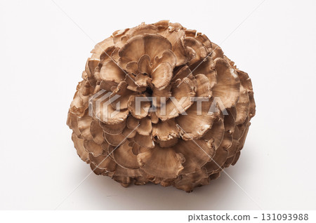 Maitake mushroom Maitake mushroom 131093988