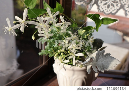 裝飾窗台的鐵線蓮小白花 裝飾窗台的鐵線蓮小白花 131094184