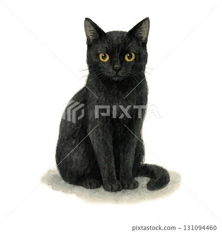 Illustration of a black cat sitting and looking ahead (PNG cutout) Illustration of a black cat sitting and looking ahead (PNG cutout) 131094460
