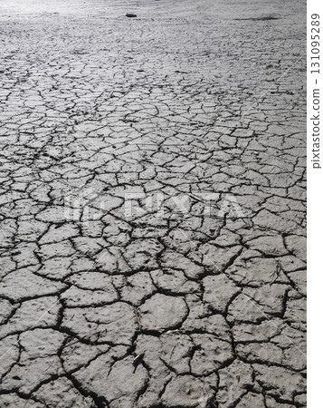 Barren, cracked, and dry landscape with no vegetation Barren, cracked, and dry landscape with no vegetation 131095289
