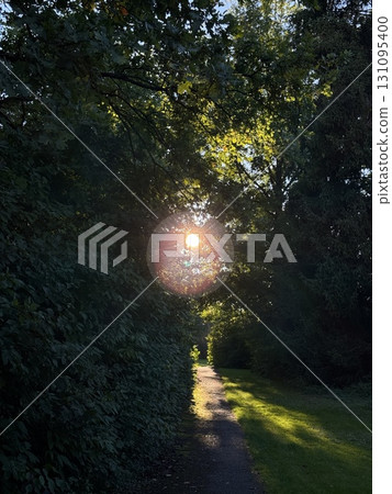 Experience the beauty of a sunrise breaking through trees, casting an ethereal glow Experience the beauty of a sunrise breaking through trees, casting an ethereal glow 131095400