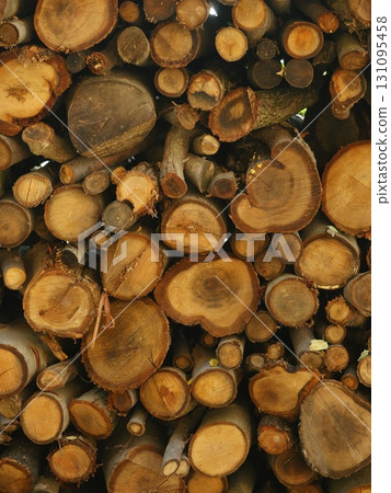 Pile of logs with a lot of bark on them 131095458