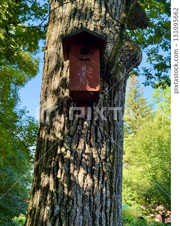 A Charming Birdhouse Decoratively Placed on a Tree Trunk Surrounded by Lush Greenery 131095662