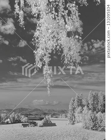 A Serene and Beautiful Infrared Landscape Captured with Dramatic Clouds in the Sky 131095834