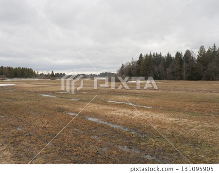 Field of grass is wet and muddy Field of grass is wet and muddy 131095905