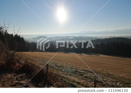 Field with a sun shining on it 131096130
