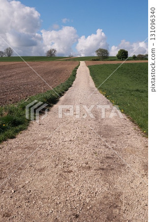 Dirt road with a tree in the background 131096340